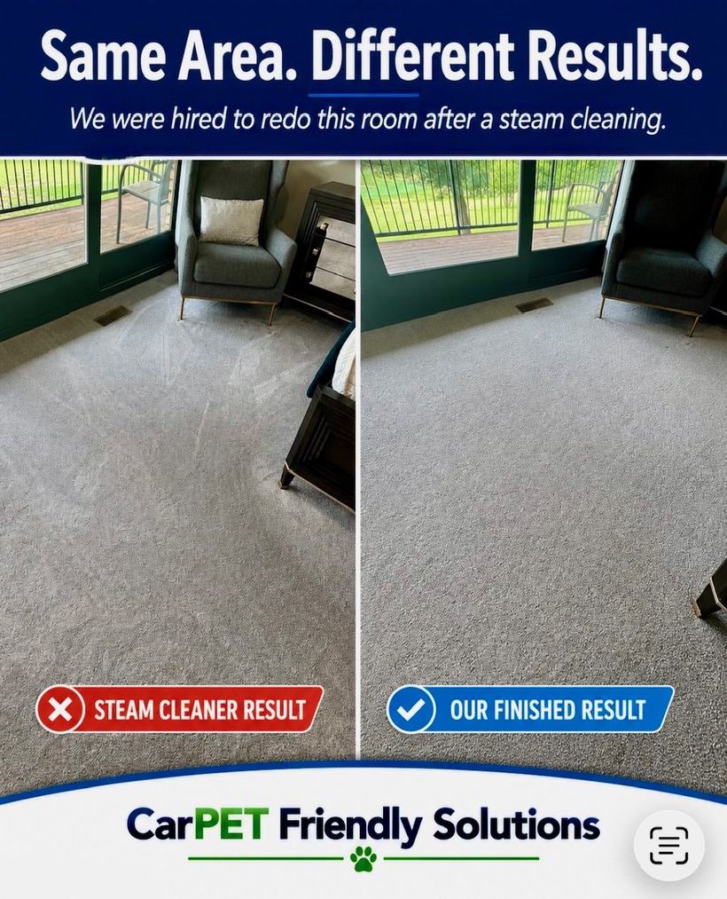 Comparison showing steam-cleaned carpet beside CarPET Friendly Solutions finished result
